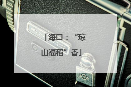 海口：“琼山福稻”香