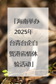海南举办2025年台青台企自贸港省情体验活动