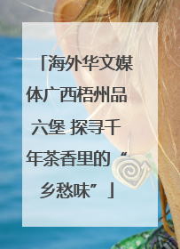 海外华文媒体广西梧州品六堡 探寻千年茶香里的“乡愁味”