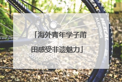 海外青年学子莆田感受非遗魅力