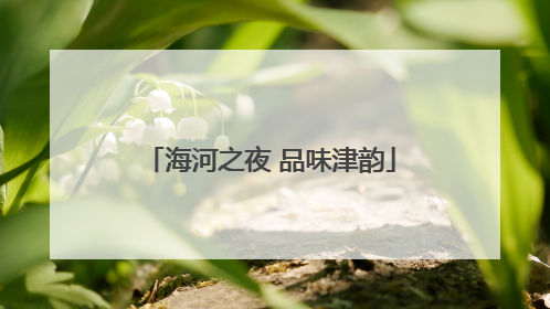 海河之夜 品味津韵