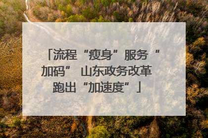 流程“瘦身”服务“加码” 山东政务改革跑出“加速度”