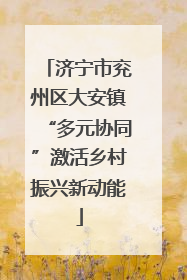 济宁市兖州区大安镇“多元协同”激活乡村振兴新动能