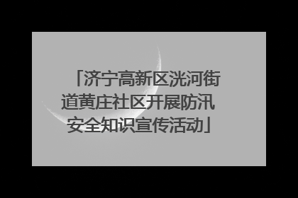 济宁高新区洸河街道黄庄社区开展防汛安全知识宣传活动