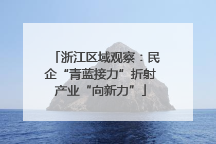 浙江区域观察：民企“青蓝接力”折射产业“向新力”