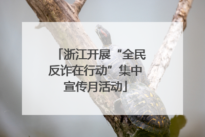 浙江开展“全民反诈在行动”集中宣传月活动