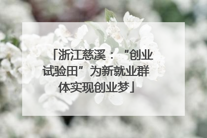 浙江慈溪：“创业试验田”为新就业群体实现创业梦