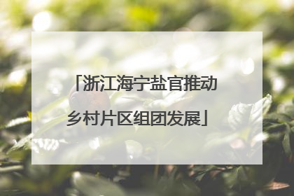 浙江海宁盐官推动乡村片区组团发展