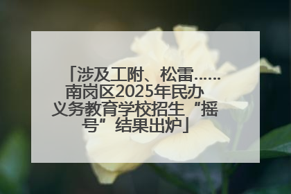 涉及工附、松雷……南岗区2025年民办义务教育学校招生“摇号”结果出炉