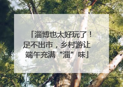 淄博也太好玩了！足不出市，乡村游让端午充满“淄”味