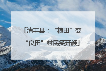 清丰县：“粮田”变“良田”村民笑开颜