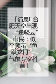 清晨﻿合肥天空出现“鱼鳞云” 市民：似乎预示“鱼跃龙门” 气象专家科普