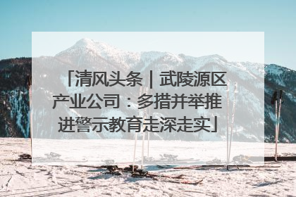 清风头条｜武陵源区产业公司：多措并举推进警示教育走深走实