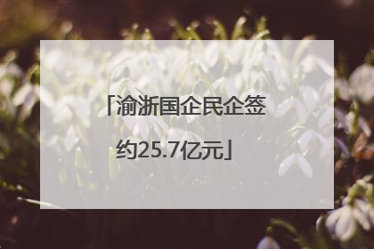 渝浙国企民企签约25.7亿元