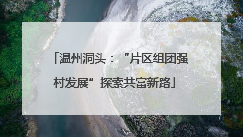 温州洞头：“片区组团强村发展”探索共富新路