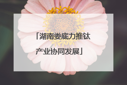 湖南娄底力推钛产业协同发展
