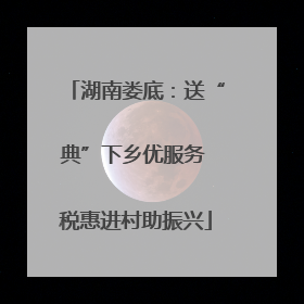 湖南娄底：送“典”下乡优服务 税惠进村助振兴