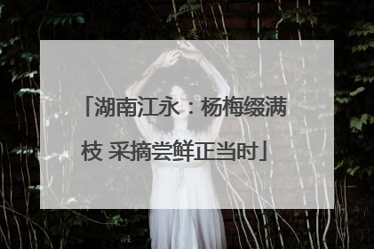 湖南江永：杨梅缀满枝 采摘尝鲜正当时