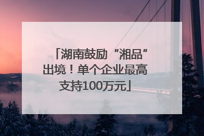 湖南鼓励“湘品”出境！单个企业最高支持100万元