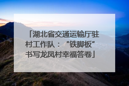 湖北省交通运输厅驻村工作队：“铁脚板”书写龙凤村幸福答卷