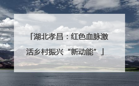 湖北孝昌：红色血脉激活乡村振兴“新动能”