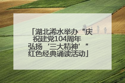 湖北浠水举办“庆祝建党104周年 弘扬‘三大精神’”红色经典诵读活动