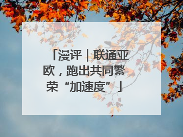 漫评｜联通亚欧，跑出共同繁荣“加速度”