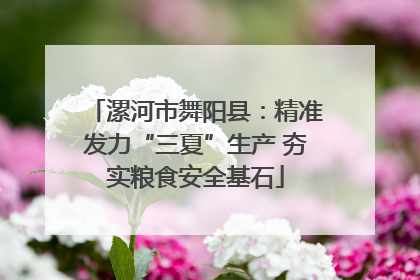 漯河市舞阳县：精准发力“三夏”生产 夯实粮食安全基石