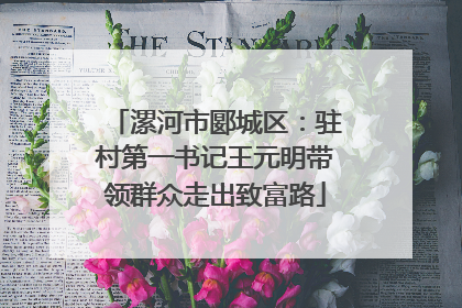 漯河市郾城区：驻村第一书记王元明带领群众走出致富路