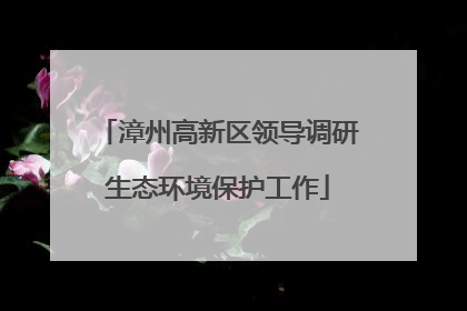 漳州高新区领导调研生态环境保护工作