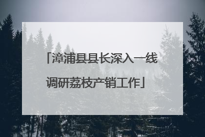 漳浦县县长深入一线调研荔枝产销工作