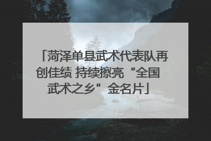 菏泽单县武术代表队再创佳绩 持续擦亮“全国武术之乡”金名片