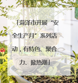 菏泽市开展“安全生产月”系列活动，有特色、聚合力、掀热潮