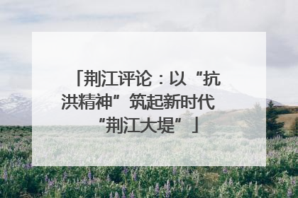 荆江评论：以“抗洪精神”筑起新时代“荆江大堤”