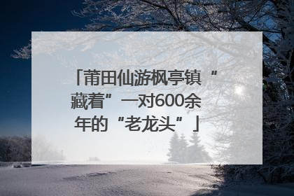 莆田仙游枫亭镇“藏着”一对600余年的“老龙头”
