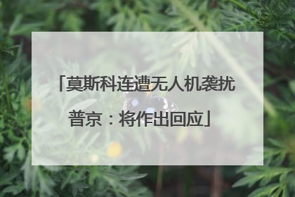 莫斯科连遭无人机袭扰 普京：将作出回应