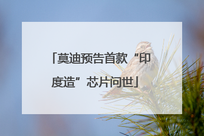 莫迪预告首款“印度造”芯片问世
