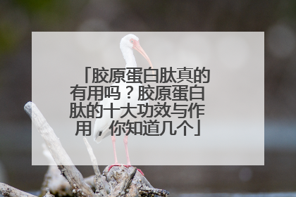 胶原蛋白肽真的有用吗？胶原蛋白肽的十大功效与作用，你知道几个