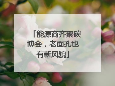 能源商齐聚碳博会，老面孔也有新风貌