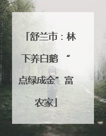 舒兰市：林下养白鹅 “点绿成金”富农家