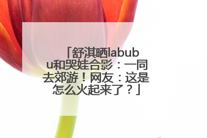 舒淇晒labubu和哭娃合影：一同去郊游！网友：这是怎么火起来了？
