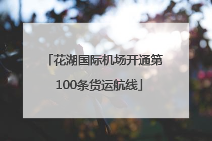 花湖国际机场开通第100条货运航线