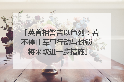 英首相警告以色列：若不停止军事行动与封锁 将采取进一步措施