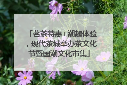 茗茶特惠+潮趣体验，现代茶城举办茶文化节暨国潮文化市集