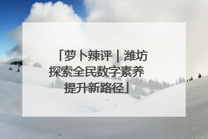 萝卜辣评｜潍坊探索全民数字素养提升新路径