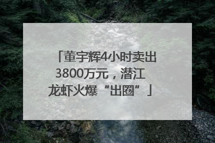 董宇辉4小时卖出3800万元，潜江龙虾火爆“出圈”