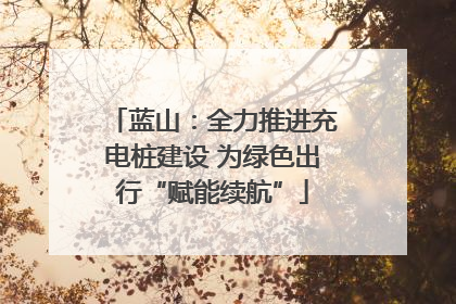 蓝山：全力推进充电桩建设 为绿色出行“赋能续航”