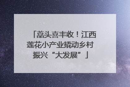 藠头喜丰收！江西莲花小产业撬动乡村振兴“大发展”