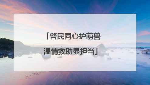 警民同心护萌兽 温情救助显担当