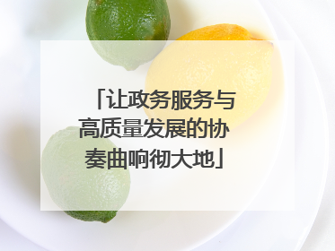 让政务服务与高质量发展的协奏曲响彻大地